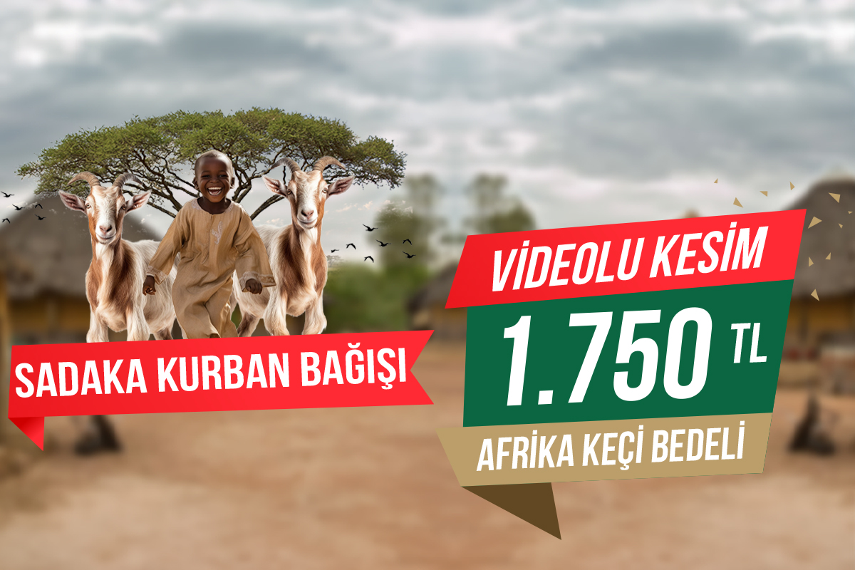 Afrika Keçi Sadaka Kurbanı