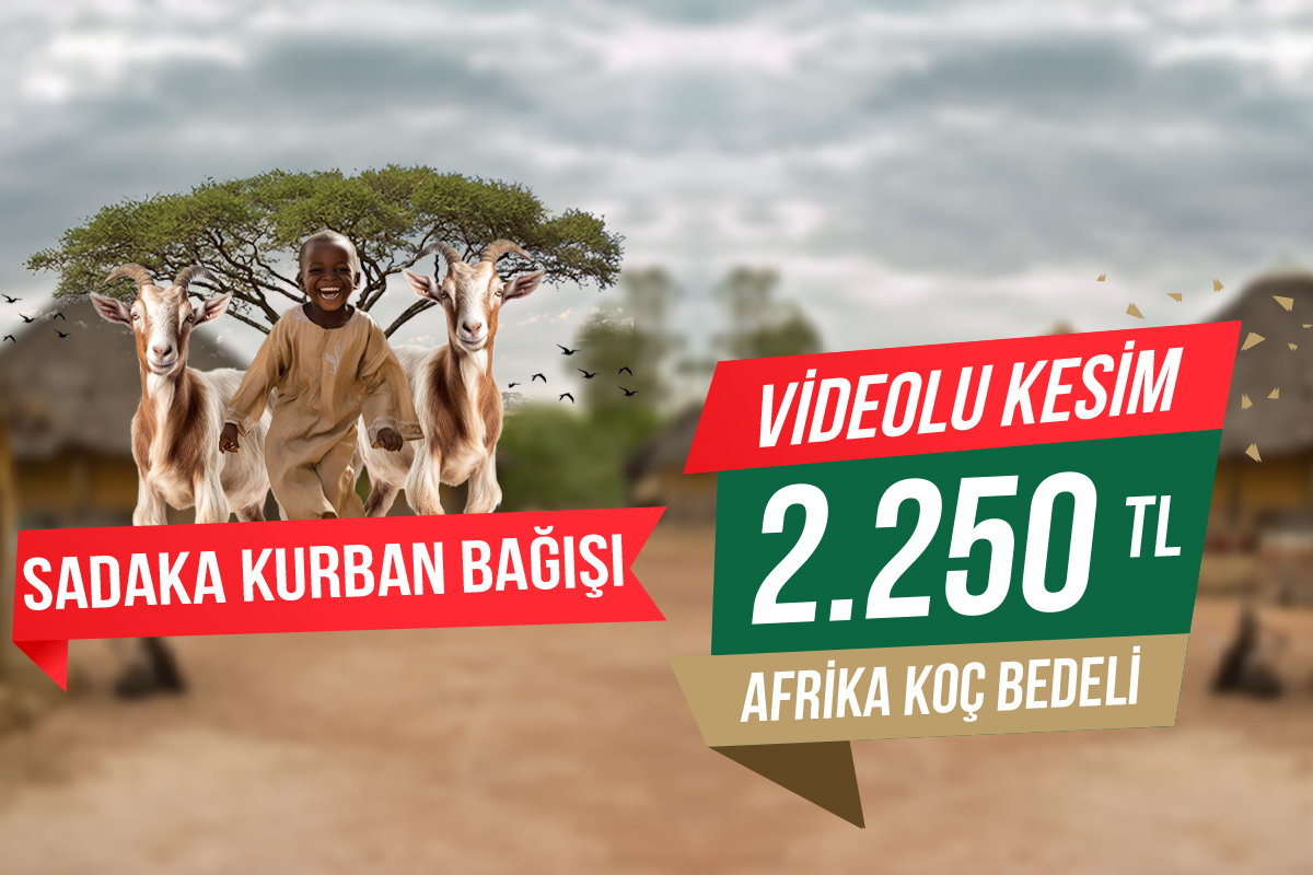 Afrika Koç Sadaka Kurbanı