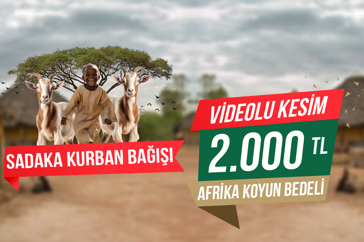 Afrika Koyun Sadaka Kurbanı