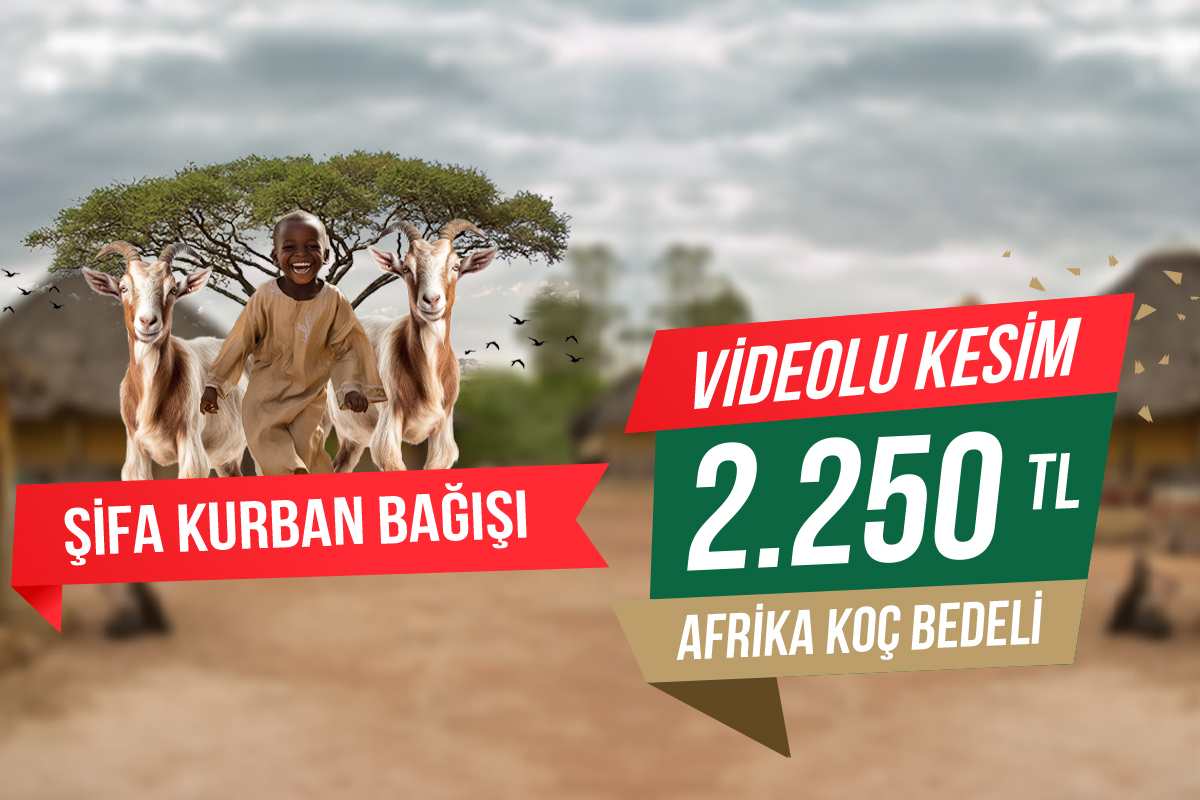 Afrika Koç Şifa Kurbanı