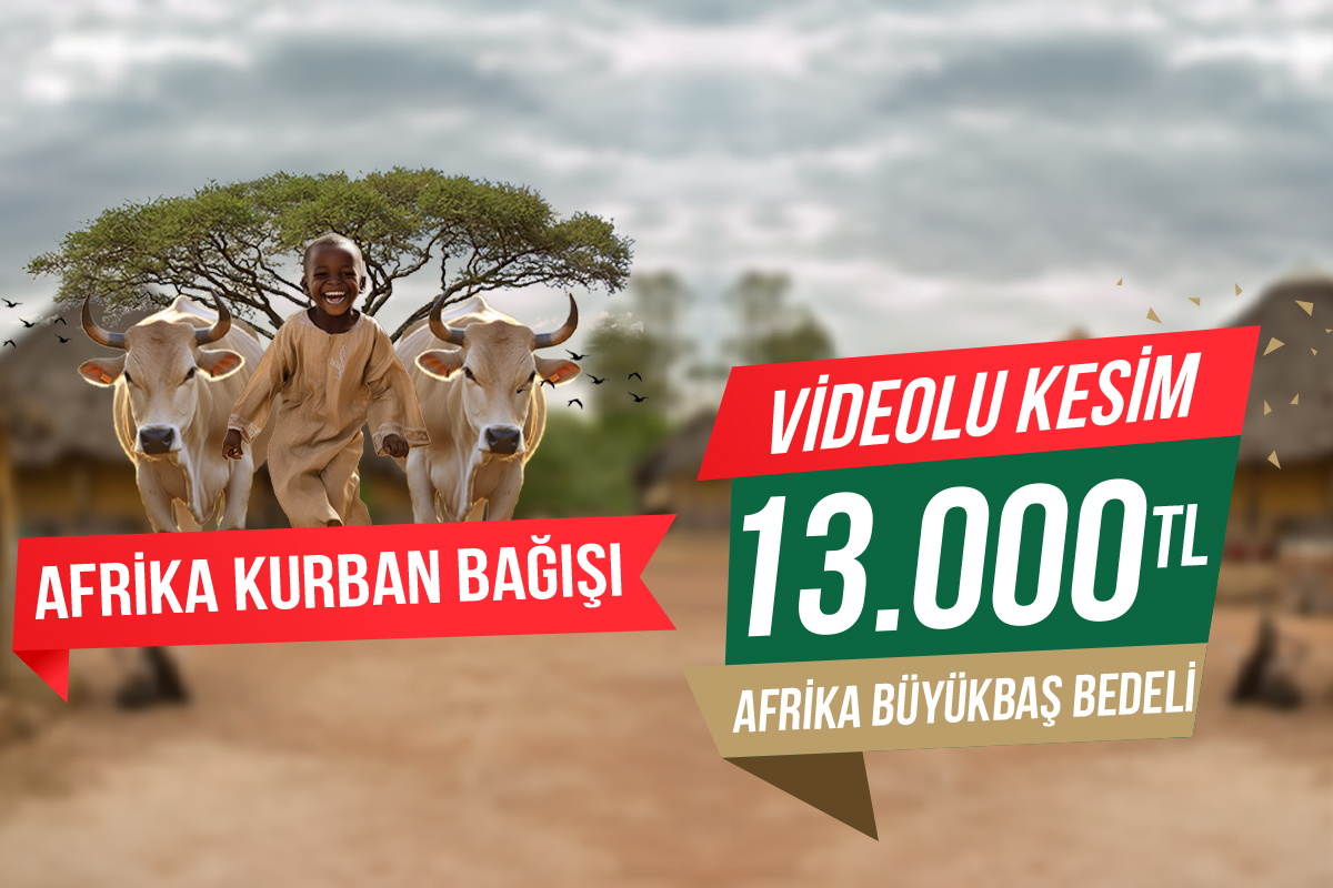 Afrika  Büyükbaş Kurbanı